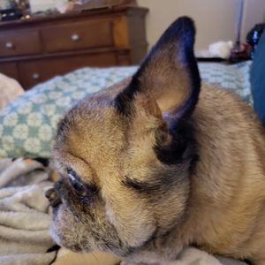 Meet your Posher, Pam